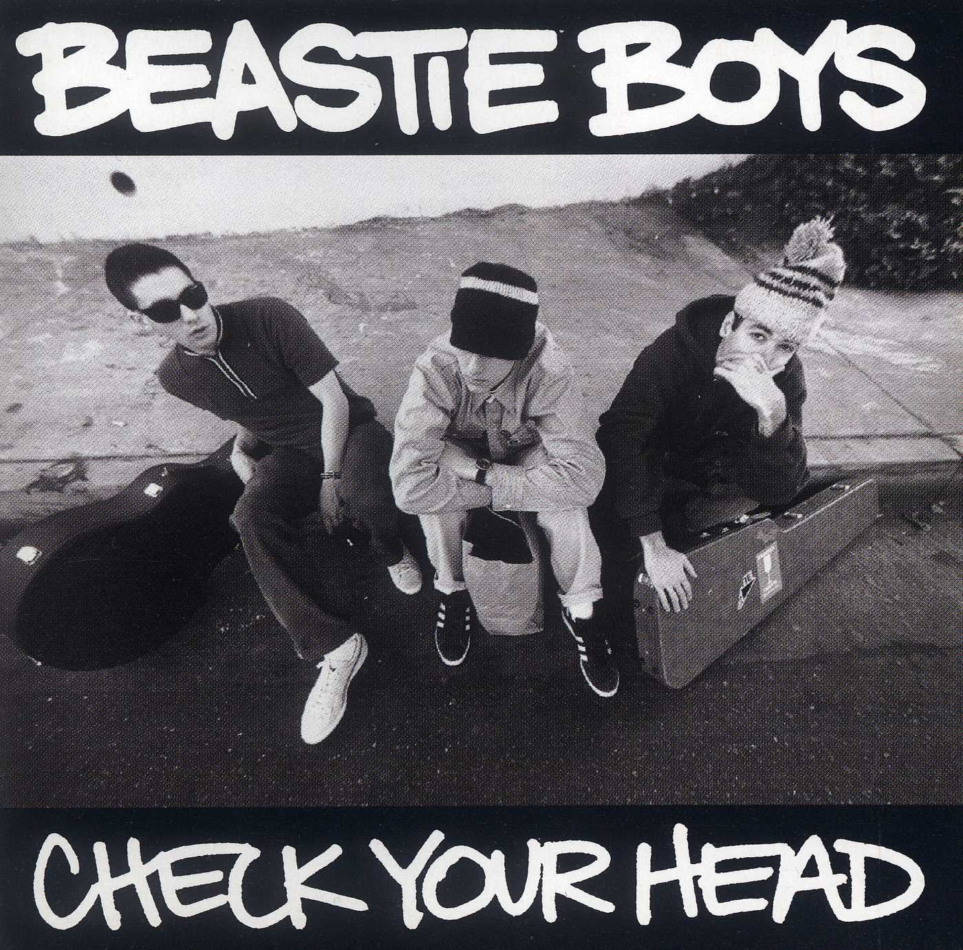 Check Your Head: Vinyl 2LP - Image 2