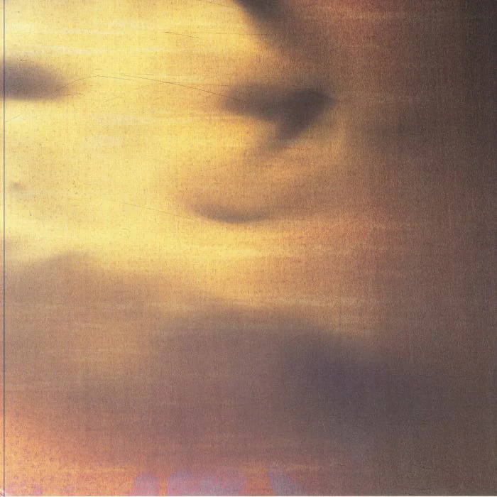 State of the Nation: Vinyl 12" Single - Image 2